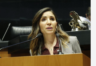 Inseguridad y complicidad del gobierno con crimen, nos lleva a descomposición del Estado de Derecho