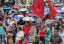 Maestros de la CNTE confirman su huelga