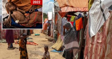 Somalia enfrenta los más altos niveles de crisis alimentaria aguda