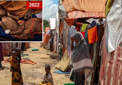 Somalia enfrenta los más altos niveles de crisis alimentaria aguda