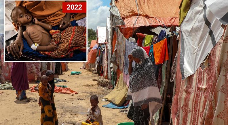 Somalia enfrenta los más altos niveles de crisis alimentaria aguda