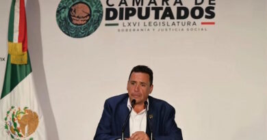 “Operativo Enjambre” debe ampliarse a nivel nacional